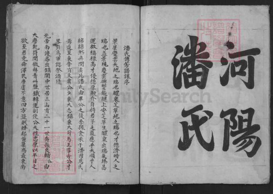 安徽省黄山市屯溪区屯光镇潘氏族谱-河阳潘氏流光宗谱.pdf电子版预览图5