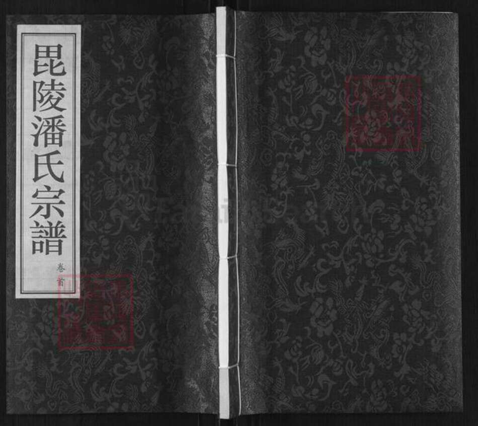 江苏省常州市金坛区直溪镇潘氏益贞堂族谱-毘陵潘氏宗谱.pdf电子版缩略图