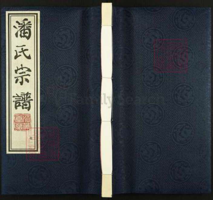 江苏省常州市新北区孟河镇潘氏江藻堂族谱-潘氏宗谱.pdf电子版缩略图