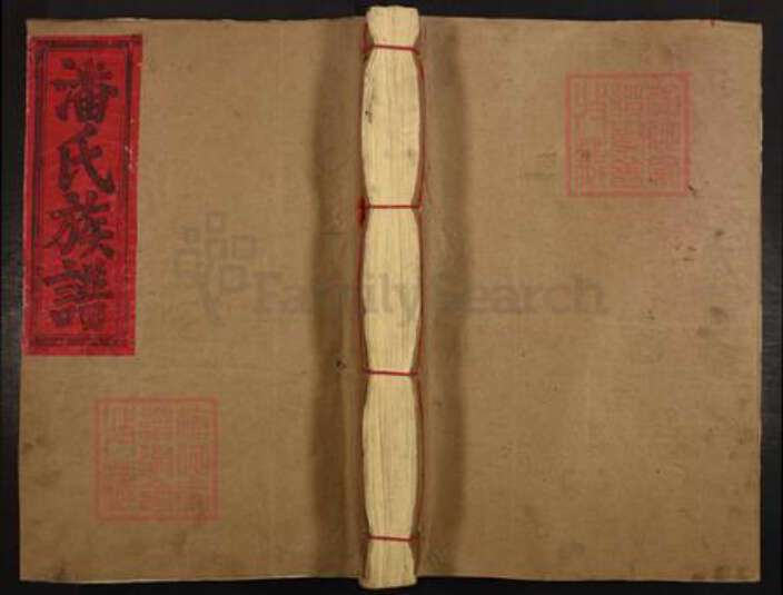 福建省三明市建宁县里心镇潘氏立本堂族谱-潘氏族谱.pdf电子版缩略图