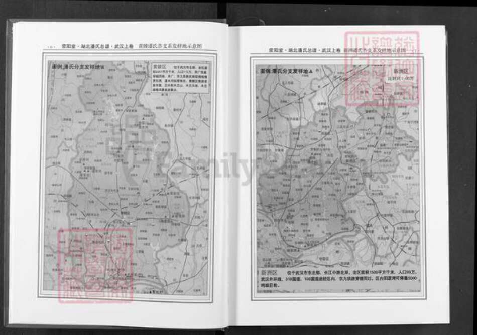 湖北省武汉市黄陂区潘氏荥阳堂族谱-湖北潘氏总谱.pdf电子版预览图4