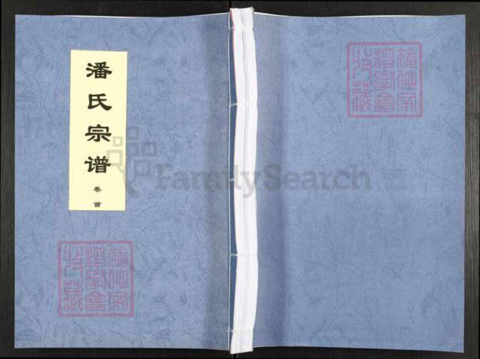 安徽省合肥市肥东县陈集镇潘氏务本堂族谱-潘氏宗谱.pdf电子版缩略图