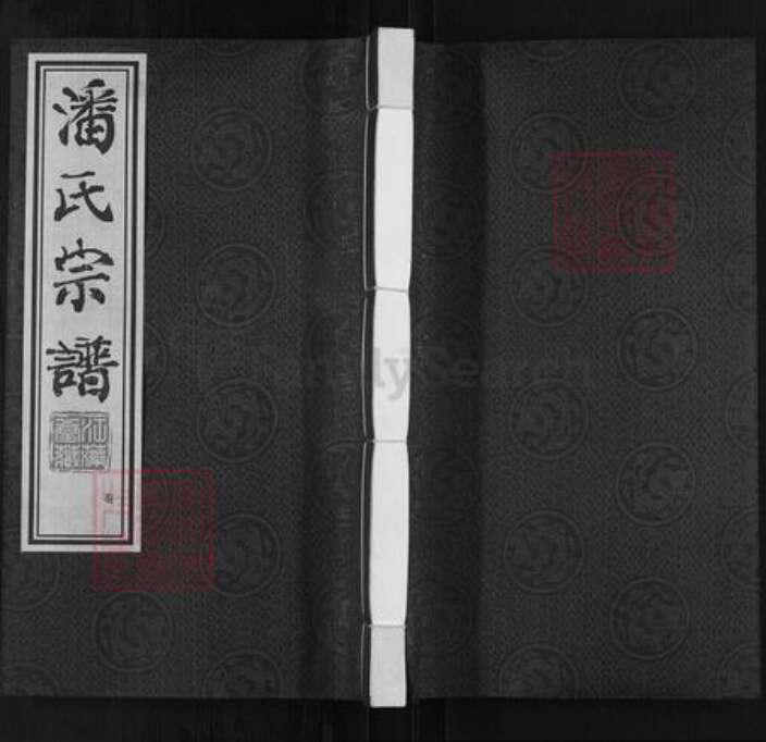 江苏省常州市新北区孟河镇潘氏江藻堂族谱-潘氏宗谱.pdf电子版缩略图