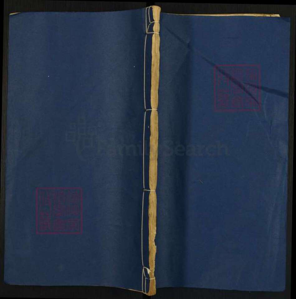 江西省宜春市万载县江西省宜春市万载县三兴镇潘氏武惠堂族谱-万载湖源潘氏族谱.pdf电子版缩略图