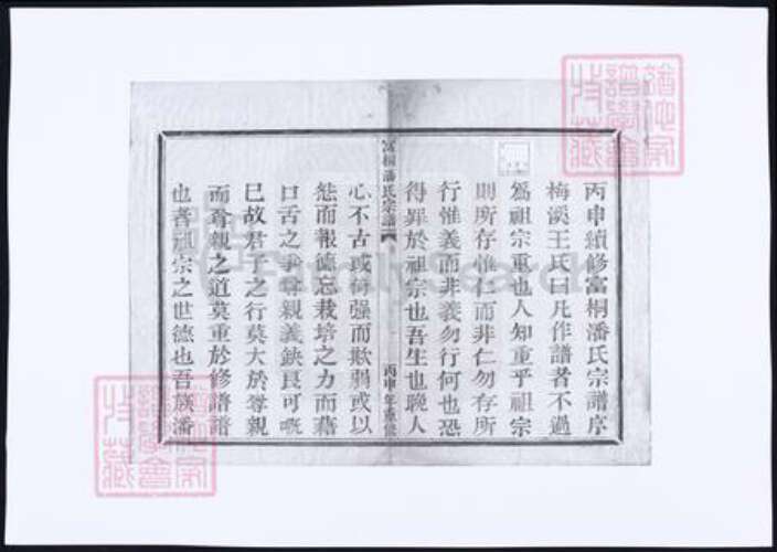 浙江省杭州市桐庐县县潘氏族谱-潘氏宗谱.pdf电子版预览图2