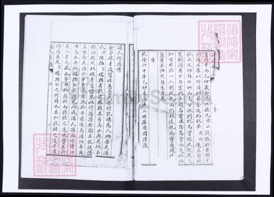 山东省青岛市即墨区潘氏族谱-墨邑潘氏族谱.pdf电子版预览图2