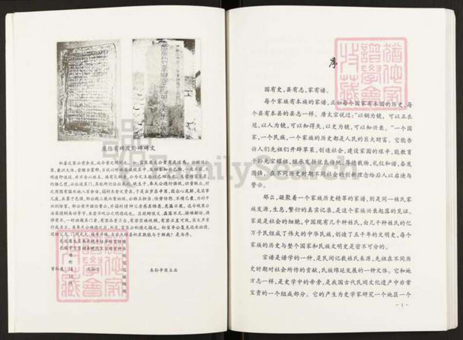 山西省临汾市汾西县团柏乡庞氏族谱-庞氏家谱.pdf电子版预览图4