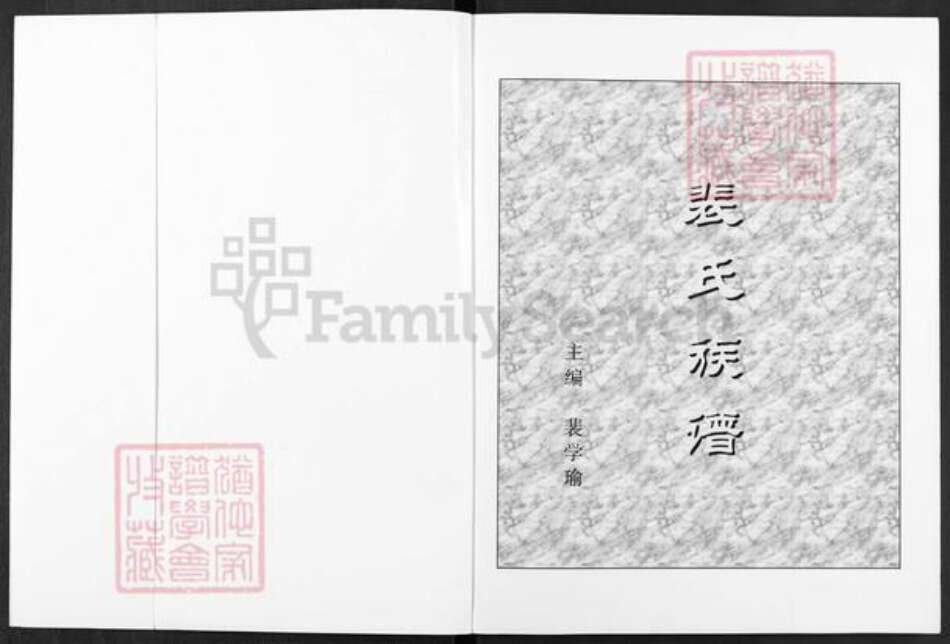 江苏省盐城市阜宁县芦蒲镇裴氏绿野堂族谱-裴氏族谱.pdf电子版预览图1