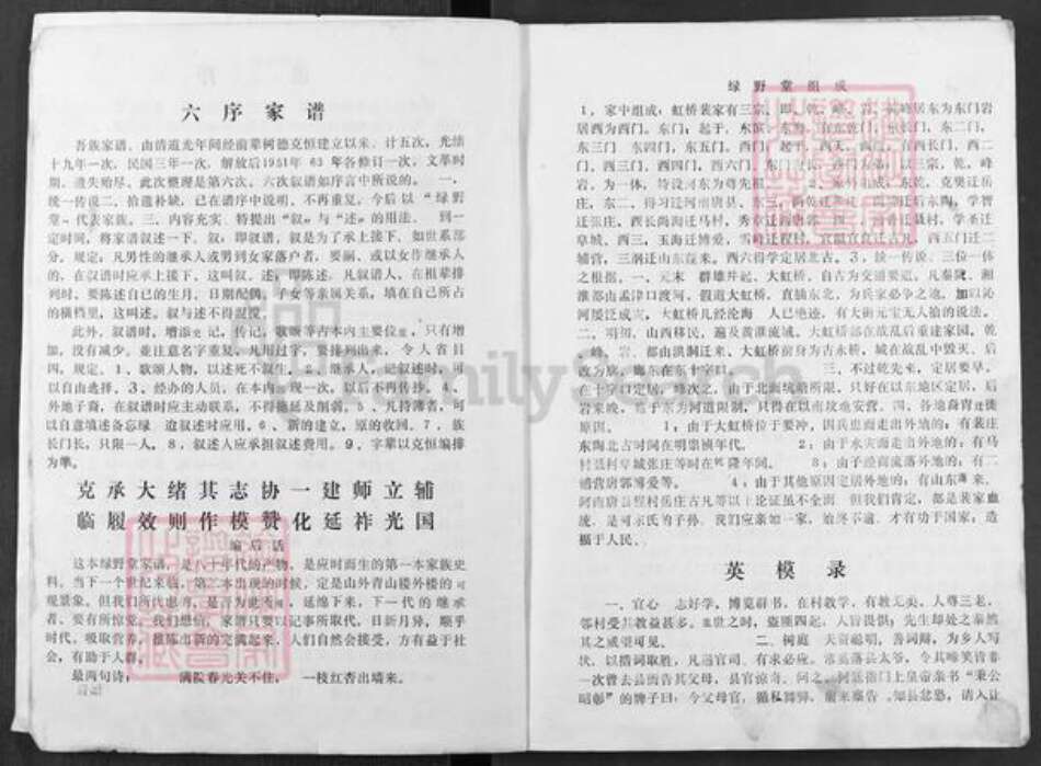 河南省焦作市武陟县裴氏绿野堂族谱-裴家世谱.pdf电子版预览图3