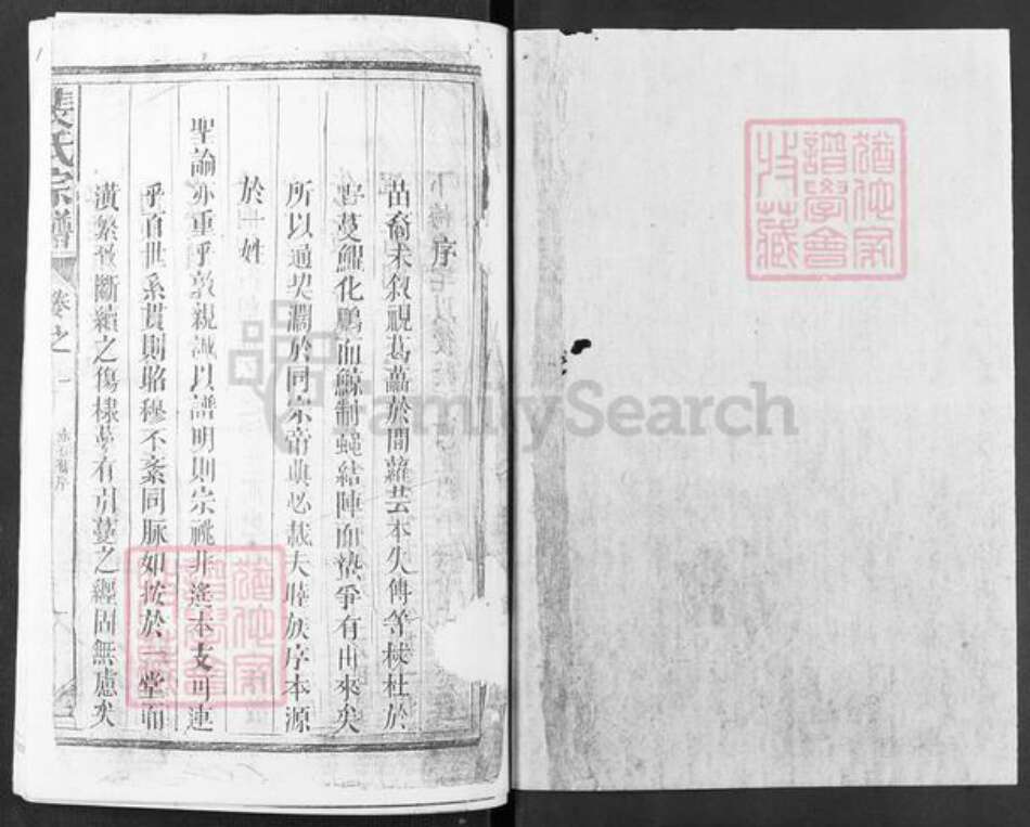 福建省福州市连江县蓼沿乡裴氏绿野堂族谱-裴氏宗谱.pdf电子版预览图1
