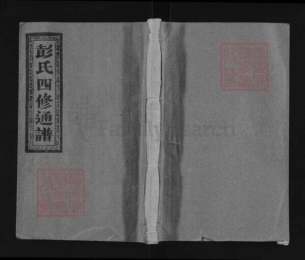 湖南省娄底市新化县彭氏族谱-彭氏四修通谱.pdf电子版缩略图