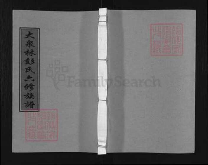 湖南省邵阳市邵东市彭氏双桂堂族谱-大泉村彭氏六修族谱.pdf电子版缩略图