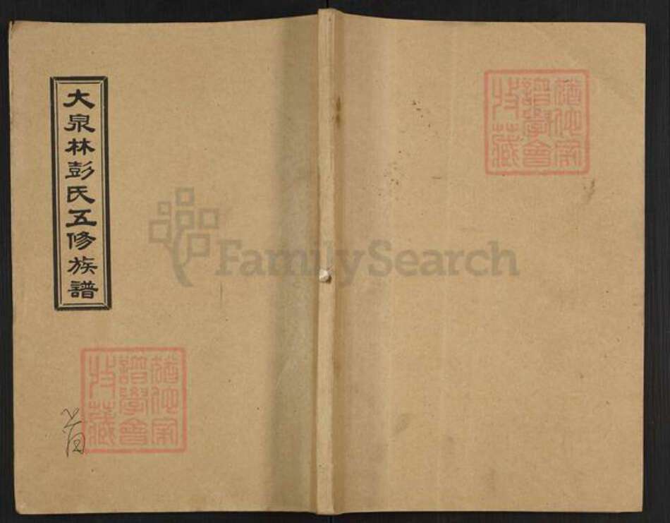 湖南省邵阳市邵东彭氏双桂堂族谱-大泉林彭氏五修族谱.pdf电子版缩略图