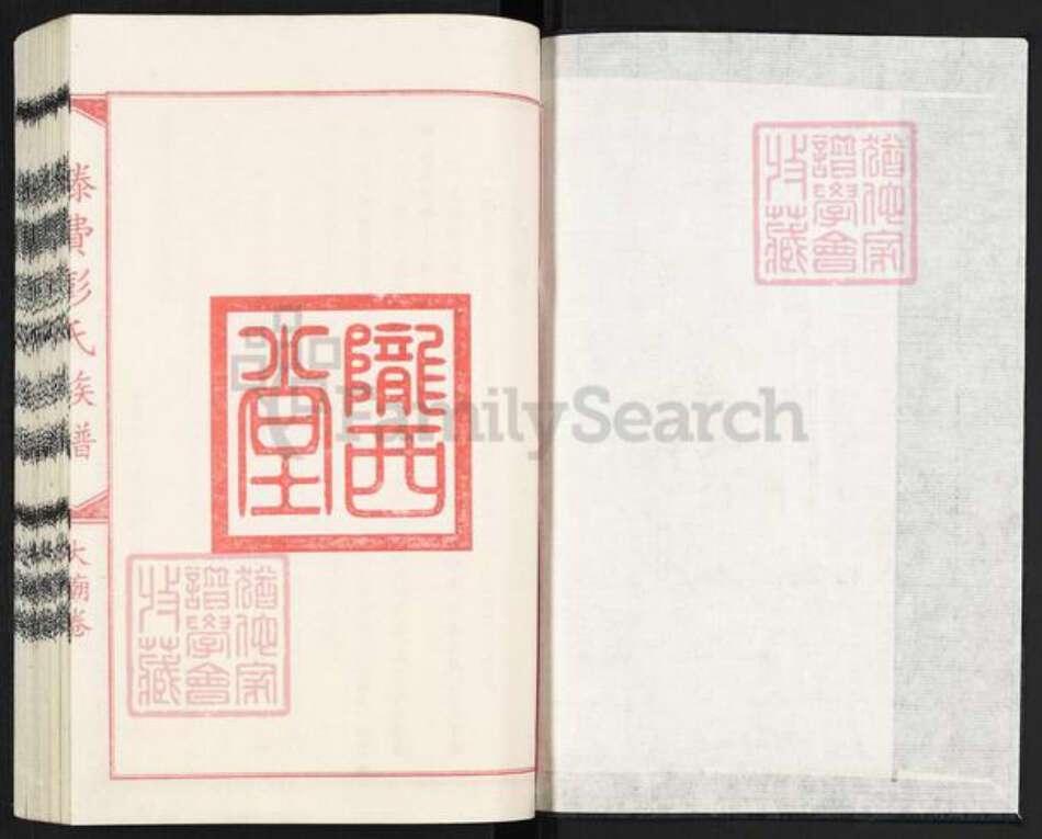 山东省临沂市平邑县温水镇彭氏族谱-滕费彭氏族谱.大庙卷.pdf电子版预览图1