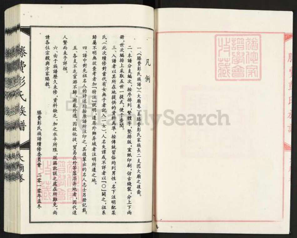 山东省临沂市平邑县温水镇彭氏族谱-滕费彭氏族谱.大庙卷.pdf电子版预览图2