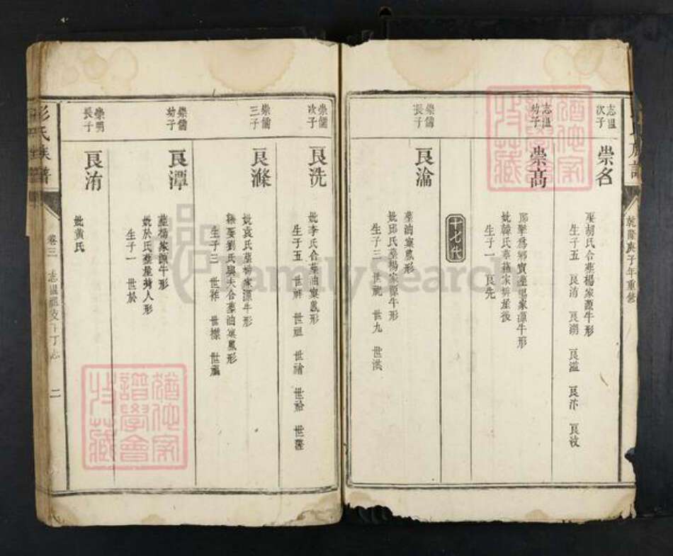 江西省抚州市南丰县彭氏族谱-彭氏族谱.pdf电子版预览图2