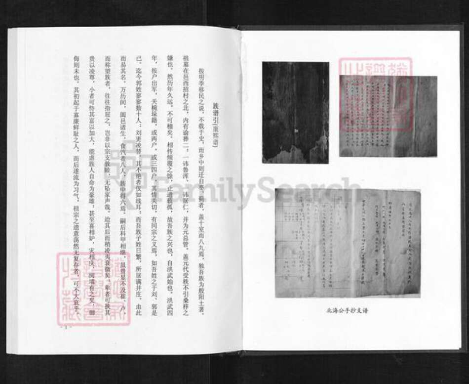 山东省淄博市淄川区蒲氏族谱-般阳蒲氏世谱.螽思公支谱.pdf电子版预览图1