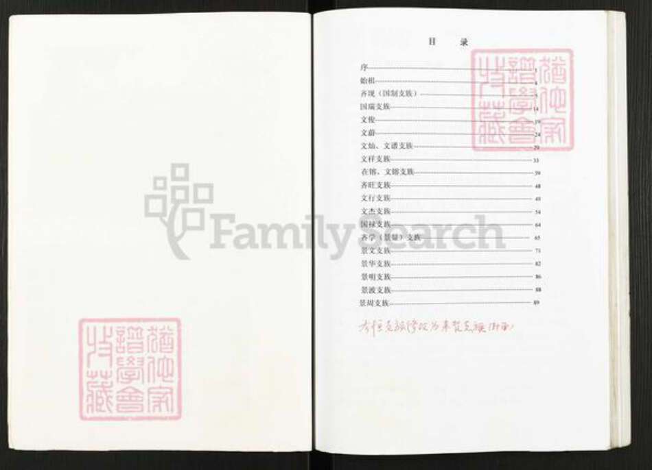 河南省南阳市新野县齐氏族谱-齐恒支族家谱.pdf电子版预览图2