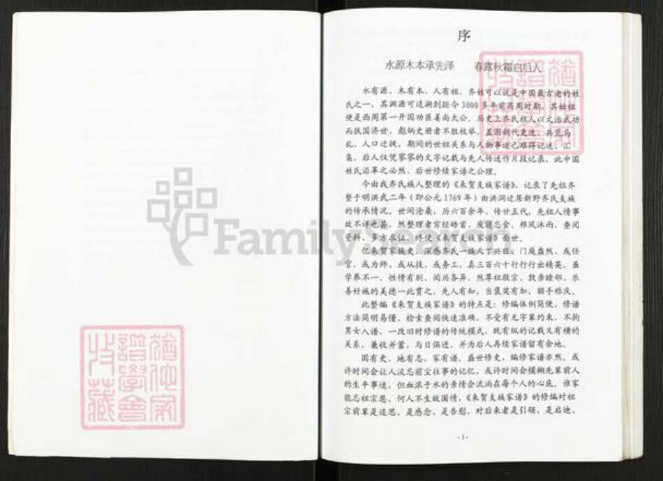 河南省南阳市新野县齐氏族谱-齐恒支族家谱.pdf电子版预览图3