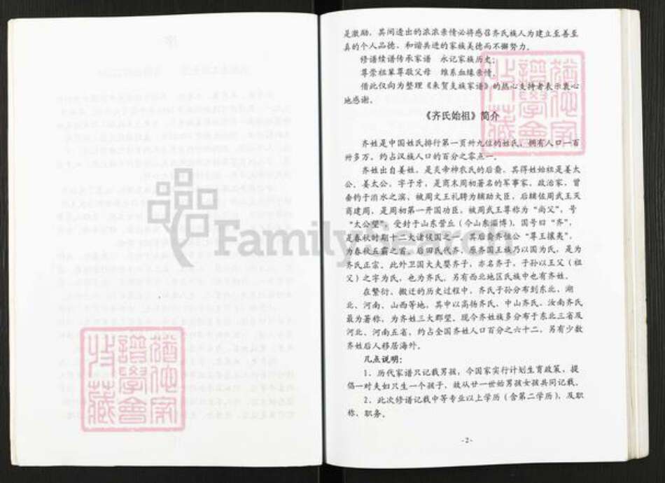 河南省南阳市新野县齐氏族谱-齐恒支族家谱.pdf电子版预览图4