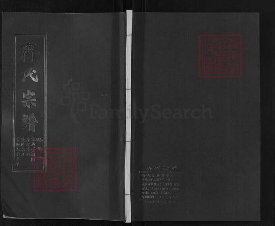 湖北省黄冈市团风县齐氏尚本堂族谱-齐氏宗谱.pdf电子版缩略图