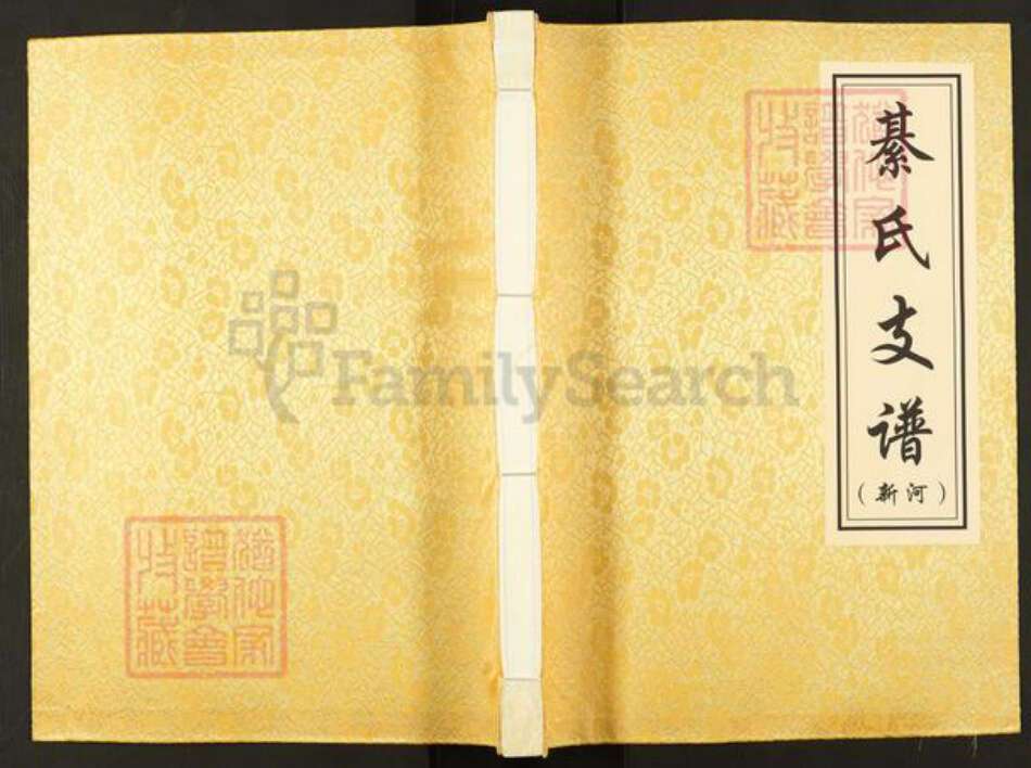 山东省青岛市平度市新河镇綦氏族谱-綦氏支谱.新河.pdf电子版