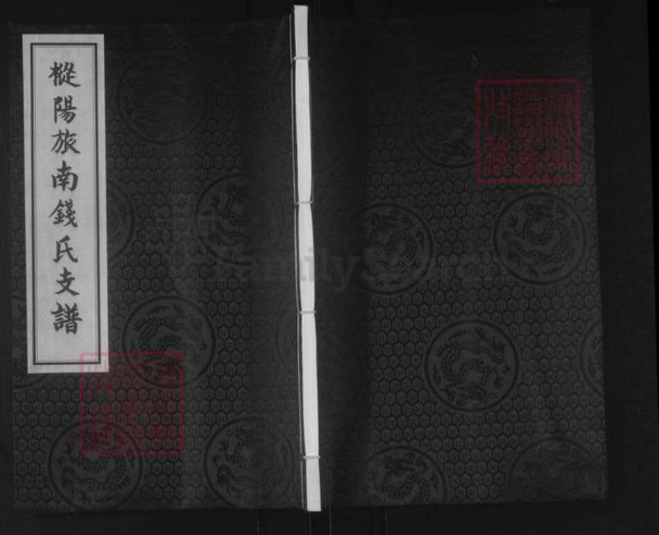 安徽省芜湖市南陵县钱氏族谱-枞阳旅南钱氏支谱.pdf电子版缩略图