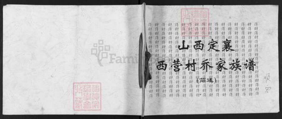 山西省忻州市定襄县杨芳乡乔氏族谱-山西定襄西营村乔家族谱.pdf电子版缩略图