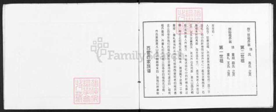 山西省忻州市定襄县杨芳乡乔氏族谱-山西定襄西营村乔家族谱.pdf电子版预览图2