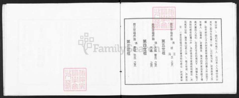 山西省忻州市定襄县杨芳乡乔氏族谱-山西定襄西营村乔家族谱.pdf电子版预览图3
