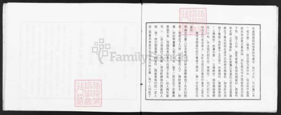 山西省忻州市定襄县杨芳乡乔氏族谱-山西定襄西营村乔家族谱.pdf电子版预览图4