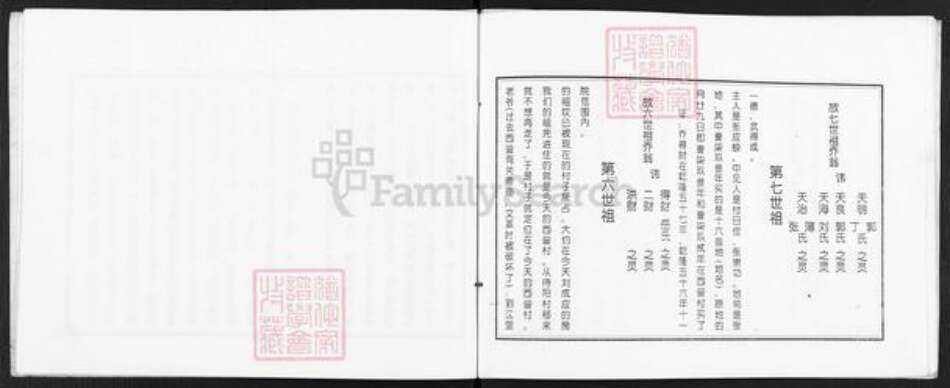 山西省忻州市定襄县杨芳乡乔氏族谱-山西定襄西营村乔家族谱.pdf电子版预览图5