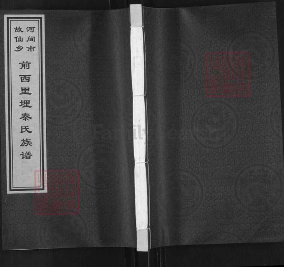 河北省沧州河间市故仙乡秦氏族谱-前西里埋秦氏族谱.pdf电子版缩略图