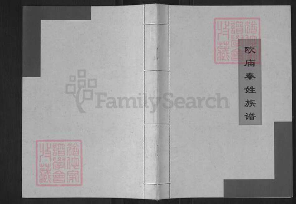 湖北省襄阳市襄城区秦氏族谱-欧庙秦姓族谱.pdf电子版缩略图