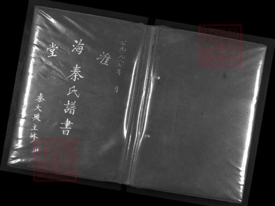 江苏省扬州市高邮市秦氏淮海堂族谱-秦氏谱书.pdf电子版缩略图