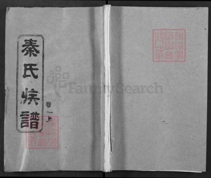 湖北省黄冈市红安县杏花乡秦氏寿乐堂族谱-秦氏族谱.pdf电子版缩略图