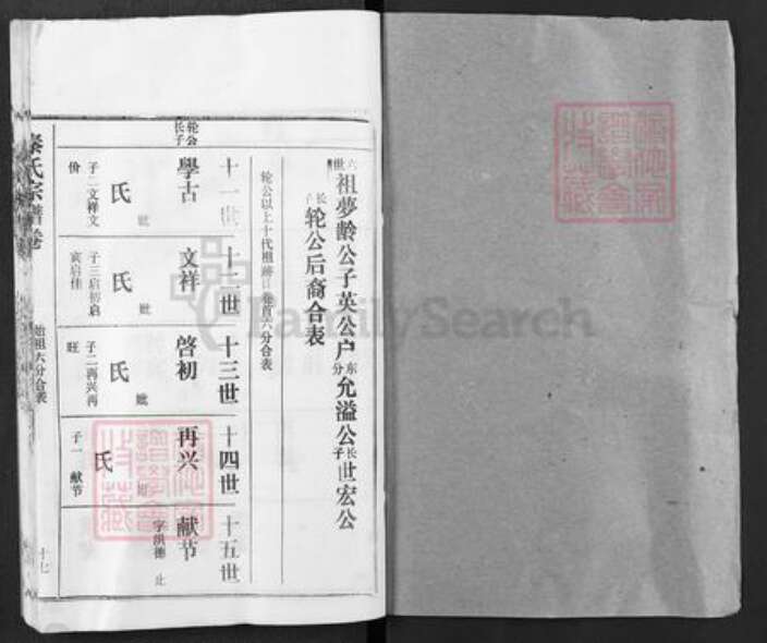 湖北省黄冈市红安县杏花乡秦氏寿乐堂族谱-秦氏族谱.pdf电子版预览图1