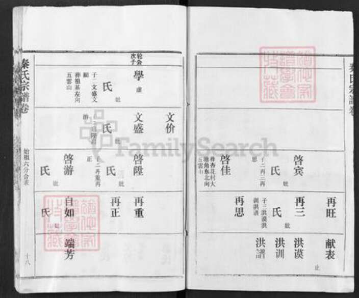 湖北省黄冈市红安县杏花乡秦氏寿乐堂族谱-秦氏族谱.pdf电子版预览图2