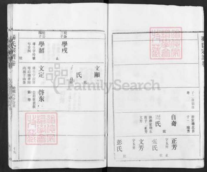 湖北省黄冈市红安县杏花乡秦氏寿乐堂族谱-秦氏族谱.pdf电子版预览图3