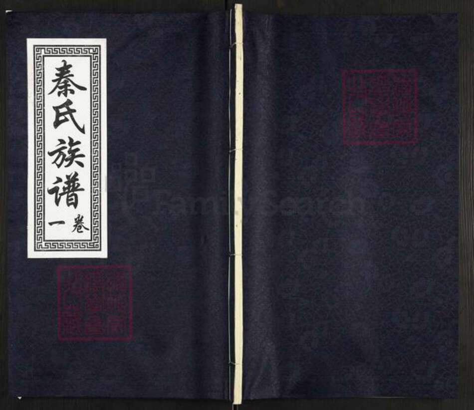 山东省济宁市汶上县康驿镇秦氏族谱-秦氏族谱.pdf电子版缩略图