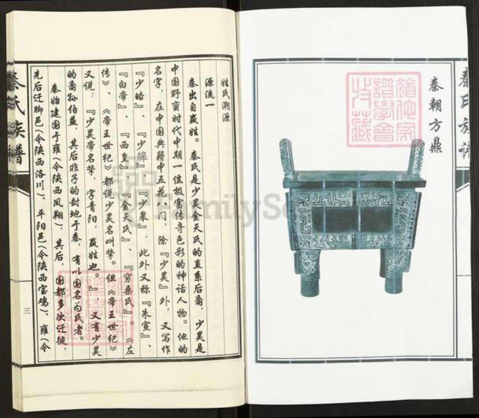 山东省济宁市汶上县康驿镇秦氏族谱-秦氏族谱.pdf电子版预览图3