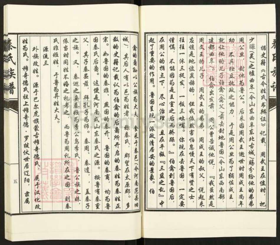 山东省济宁市汶上县康驿镇秦氏族谱-秦氏族谱.pdf电子版预览图5