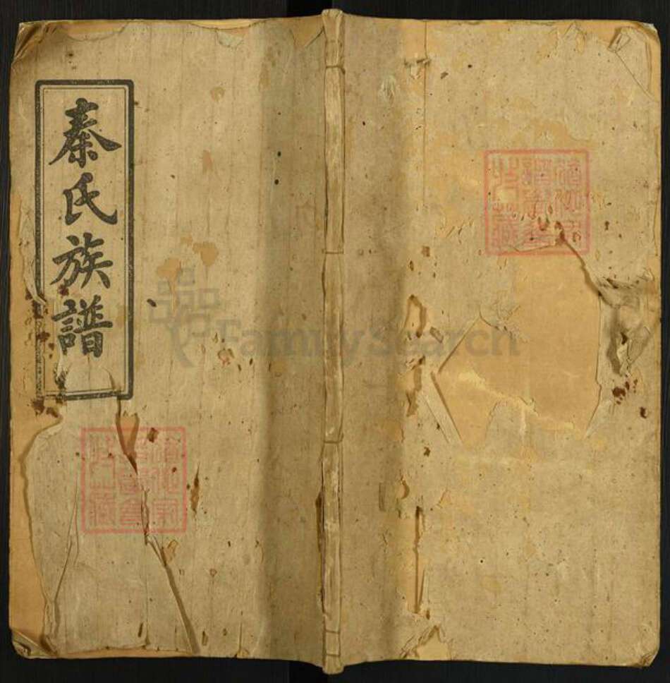 湖南省岳阳市湘阴县江西省吉安市秦氏天水堂族谱-秦氏族谱.pdf电子版缩略图