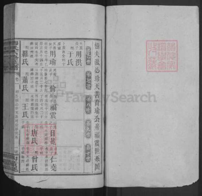 湖南省邵阳市卿氏族谱-卿氏六修族谱.pdf电子版预览图1