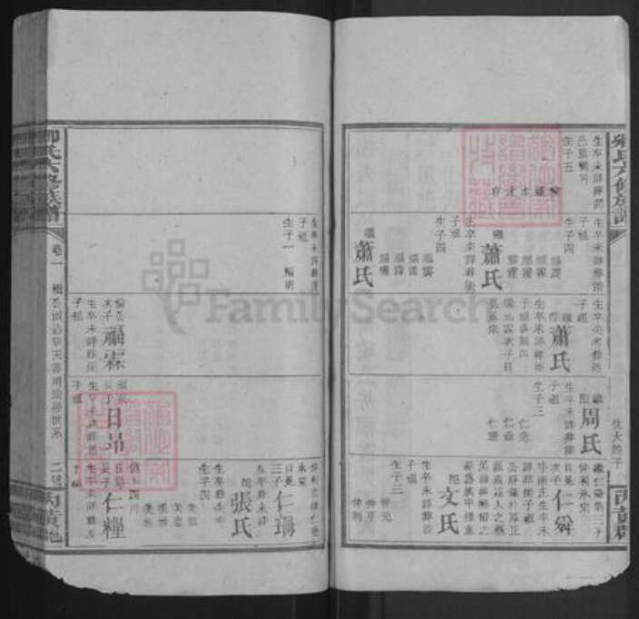 湖南省邵阳市卿氏族谱-卿氏六修族谱.pdf电子版预览图2