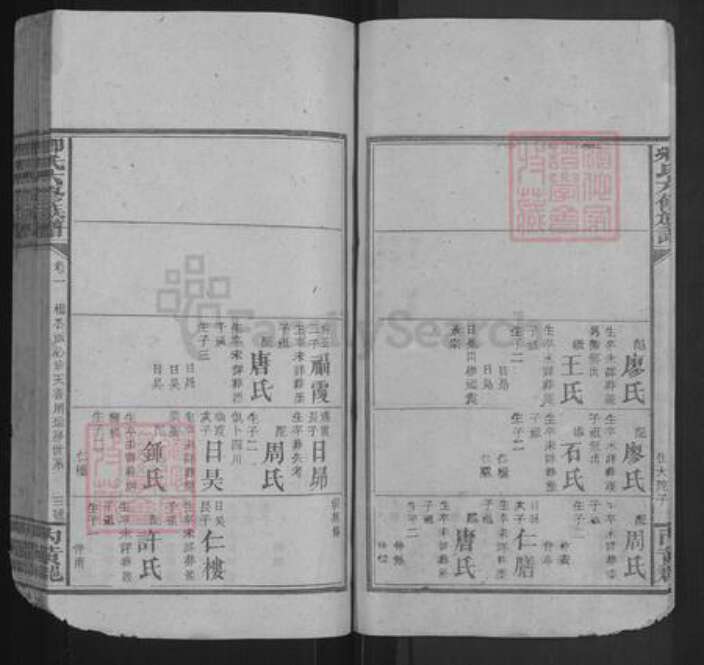 湖南省邵阳市卿氏族谱-卿氏六修族谱.pdf电子版预览图3