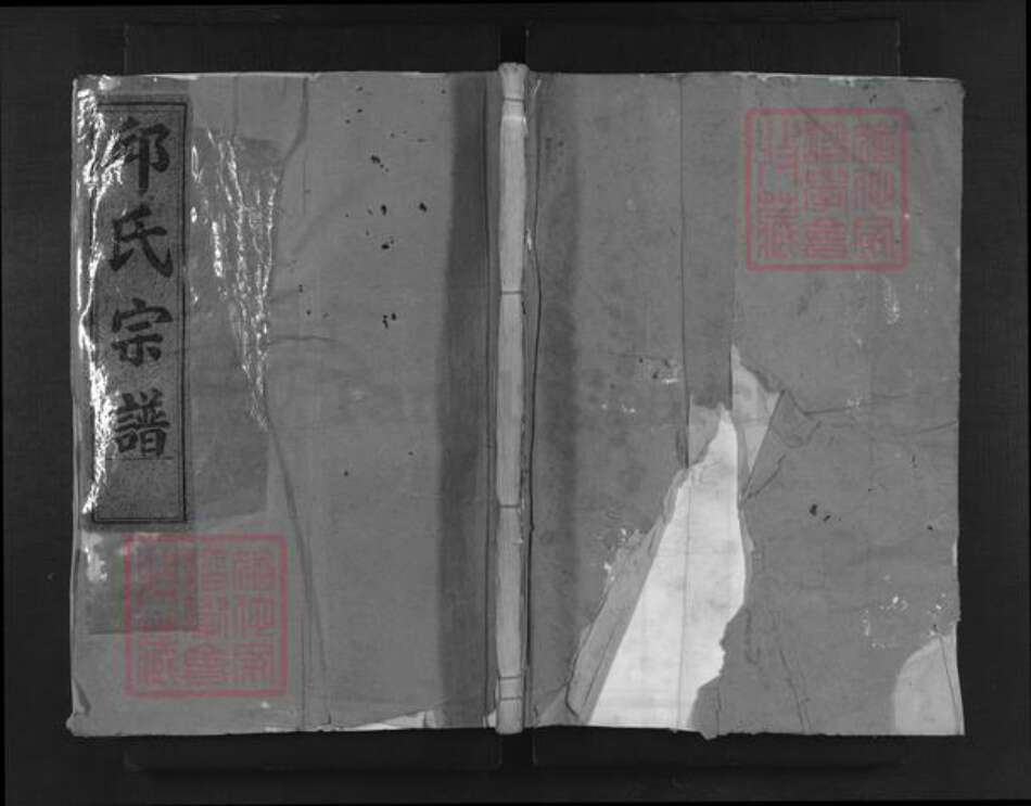 浙江省衢州龙游县邱氏族谱-河南邱氏宗谱.pdf电子版缩略图