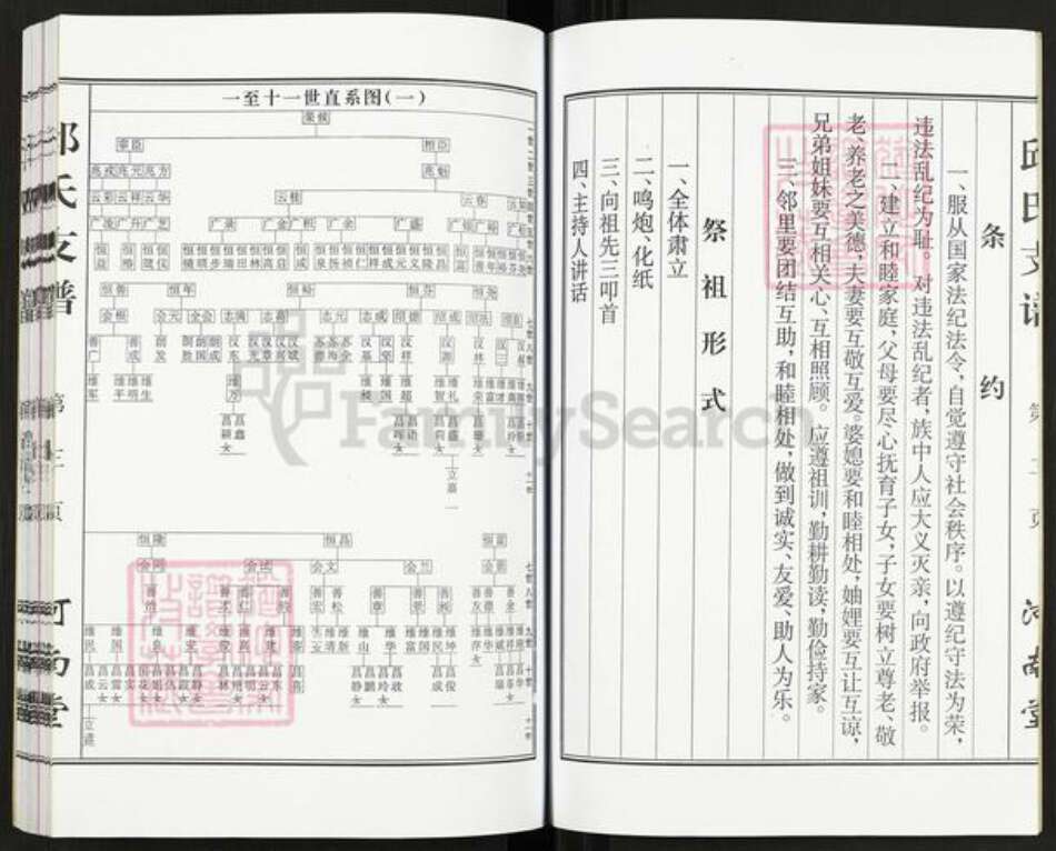 江苏省盐城市建湖县近湖街道邱氏河南堂族谱-邱氏支谱.pdf电子版预览图4