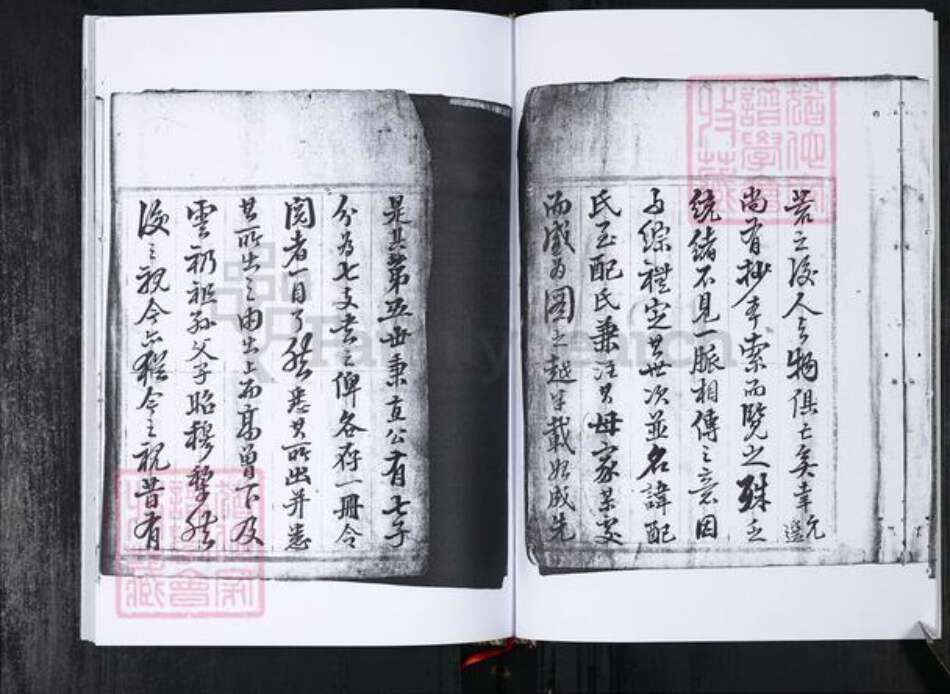 山东省青岛市邱氏族谱-邱氏族谱.长直.pdf电子版预览图3