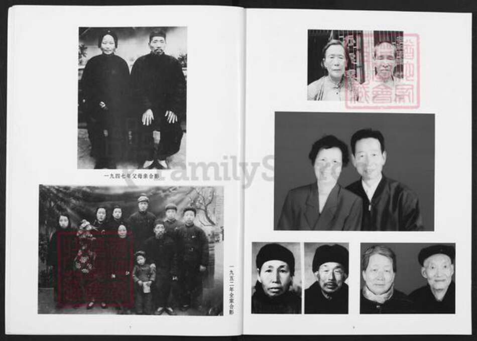 山西省运城市稷山县翟店镇任氏族谱-任氏家谱.pdf电子版预览图5